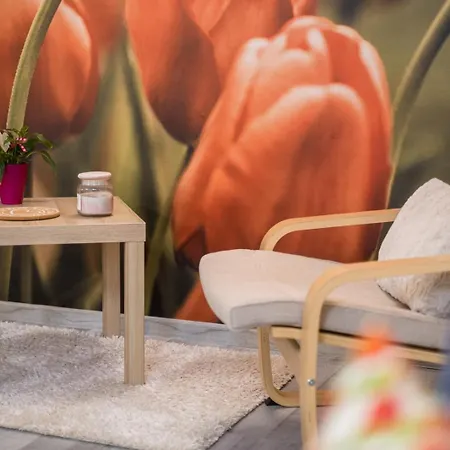 Szuerke Vendeghaz Balatonkenesen * Balatonkenese